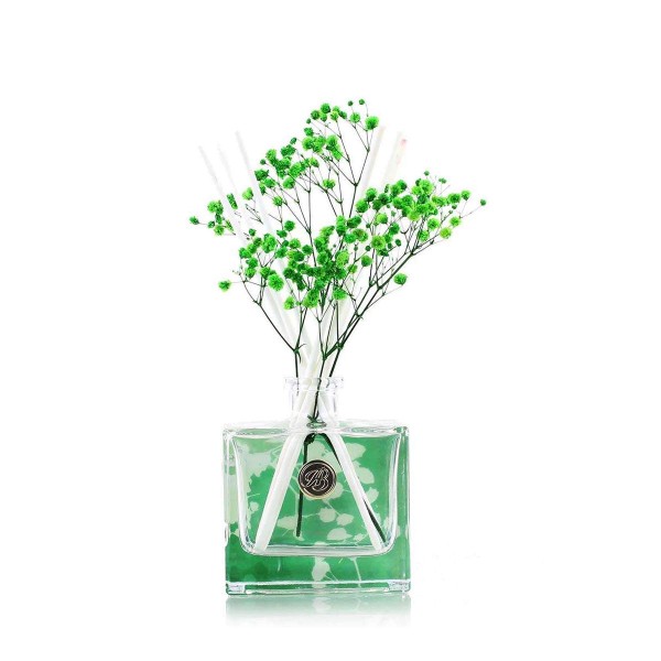 Floral Reed-Diffuser Winter Jasmine & Green Leaves - 150ml