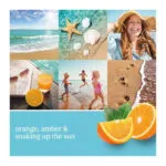 Duftcollage mit Meer, Orangen, Strandbildern und Sonnenmotiv