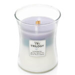 WoodWick Trilogy Duftkerze im Glas mit sichtbarem Holzdocht