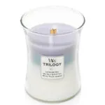 WoodWick Trilogy Duftkerze im Glas mit sichtbarem Holzdocht