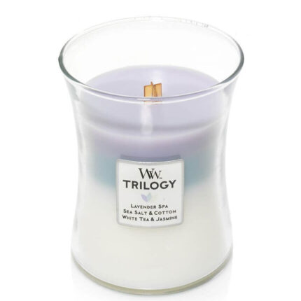 WoodWick Trilogy Duftkerze im Glas mit sichtbarem Holzdocht