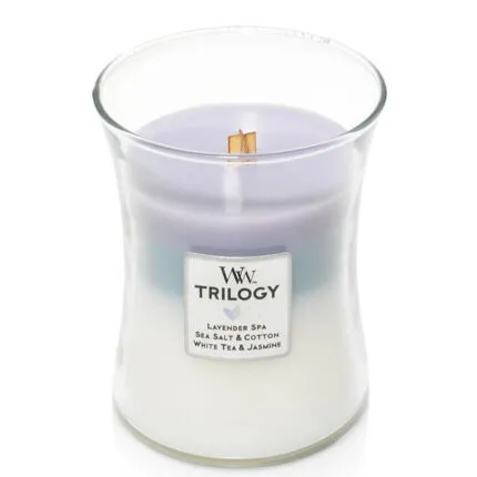 WoodWick Trilogy Duftkerze im Glas mit sichtbarem Holzdocht