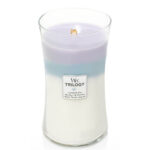 WoodWick Trilogy Kerze im Glas mit sichtbarem Holzdocht