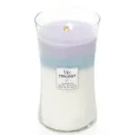 WoodWick Trilogy Kerze im Glas mit sichtbarem Holzdocht