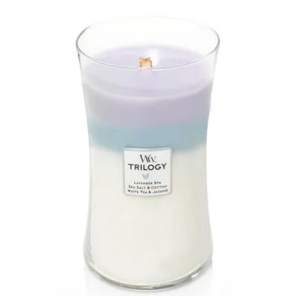 WoodWick Trilogy Kerze im Glas mit sichtbarem Holzdocht