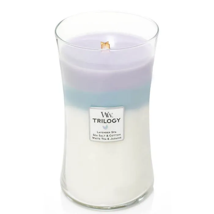 WoodWick Trilogy Kerze im Glas mit sichtbarem Holzdocht