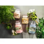 Calamansi Cocktail Kerze in einer Gruppe weiterer Yankee Candle Kerzen