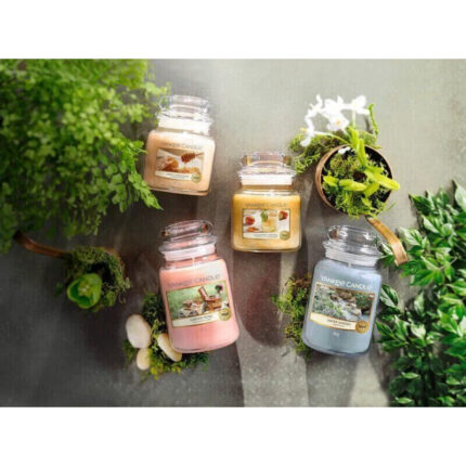 Calamansi Cocktail Kerze in einer Gruppe weiterer Yankee Candle Kerzen