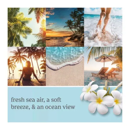 Strandbilder mit Palmen, Meer, Sand und weißen Blüten