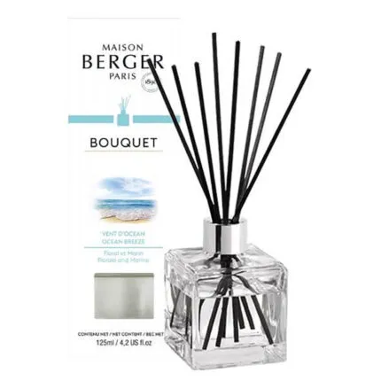 Glasdiffuser mit Duftstäbchen und Verpackung von Maison Berger Paris