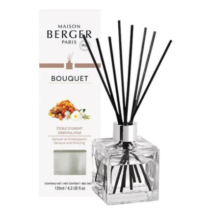 Glas-Diffuser mit schwarzen Duftstäbchen neben Maison-Berger-Verpackung