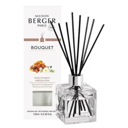 Glas-Diffuser mit schwarzen Duftstäbchen neben Maison-Berger-Verpackung