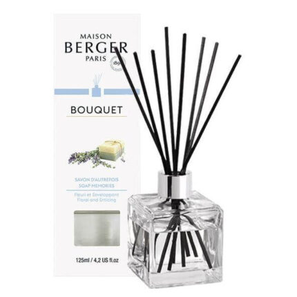 Glas-Diffuser von Maison Berger Paris mit Verpackung und schwarzen Duftstäbchen