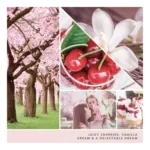 Collage mit Kirschbaum, Kirschen, weißen Blüten und Kirschdessert