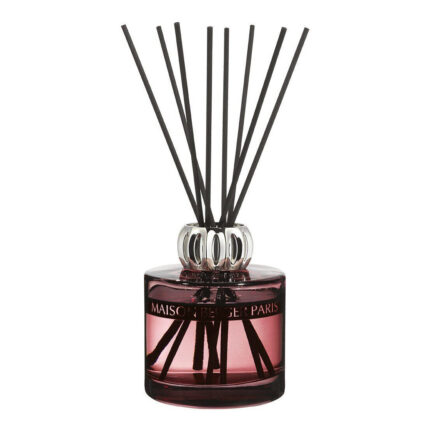 Nahaufnahme eines Raumduft-Diffusers mit mehreren schwarzen Duftstäbchen