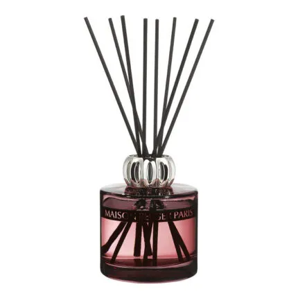 Nahaufnahme eines Raumduft-Diffusers mit mehreren schwarzen Duftstäbchen