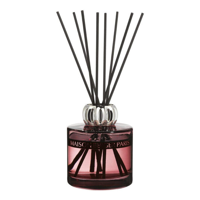 Nahaufnahme eines Raumduft-Diffusers mit mehreren schwarzen Duftstäbchen