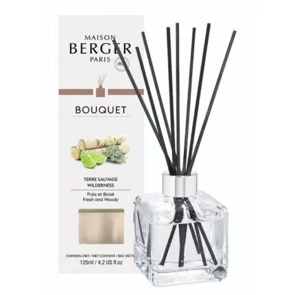 Glas-Diffuser mit schwarzen Duftstäbchen und Verpackung Terre Sauvage
