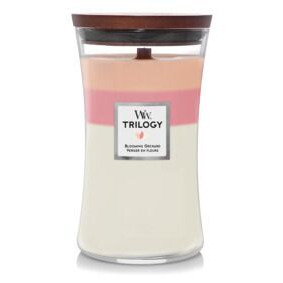 WoodWick Trilogy Kerze im Glas mit dreifarbigen Wachsschichten