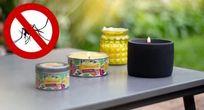 Citronella (Anti-Mücke)