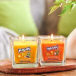 A2865-A2869-MAOAM-70G-DizzyLemon-FancyOrange-MOOD-jpg-wG9z.jpg