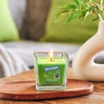 A2866-MAOAM-70G-JumpyApple-MOOD-jpg-VddR.jpg