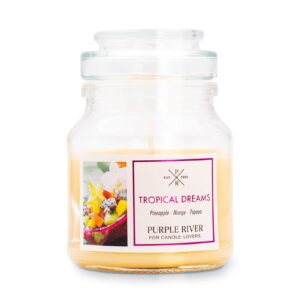 Duftkerze-PR-Tropical-Dreams-113g-jpg-Igz1.jpg