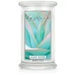 Agave Pastel 623g – Produktansicht
