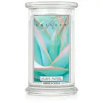 Agave Pastel 623 g – Hauptansicht
