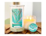 Agave Pastel 623g – Produktansicht