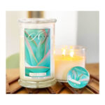 Agave Pastel 623 g – Produktansicht