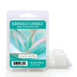 Agave Pastel Wax Melts 64g – Produktansicht
