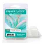 Agave Pastel Wax Melts 64g – Hauptansicht