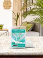 Agave Pastel Wax Melts 64g – Produktansicht