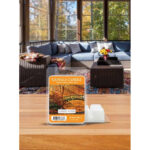 Amber Wood Wax Melts 64g – Produktansicht