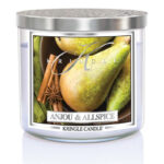 Anjou & Allspice 396g Tumbler 3-Docht – Hauptansicht