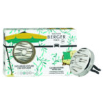 Verpackung und runder Autodiffusor des Wasser-Minze-Sets