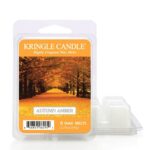 Autumn Amber Wax Melts 64g – Produktansicht