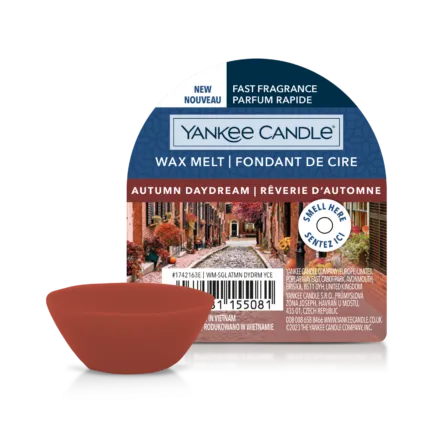 Autumn Daydream Wachsmelt 22g – Produktansicht