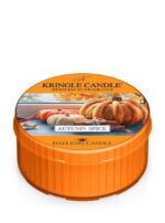 Autumn Spice Daylight 42g – Produktansicht