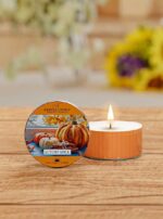 Autumn Spice Daylight 42g – Produktansicht