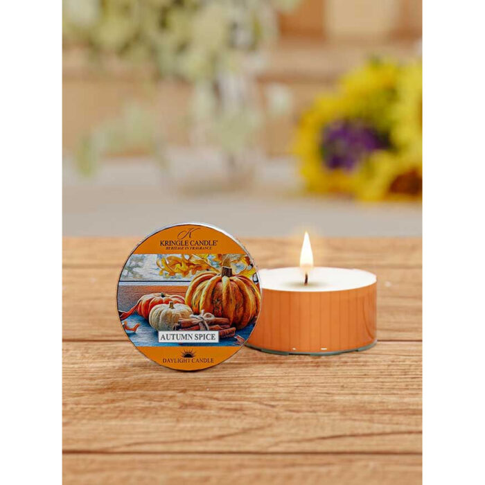 Autumn Spice Daylight 42g – Produktansicht