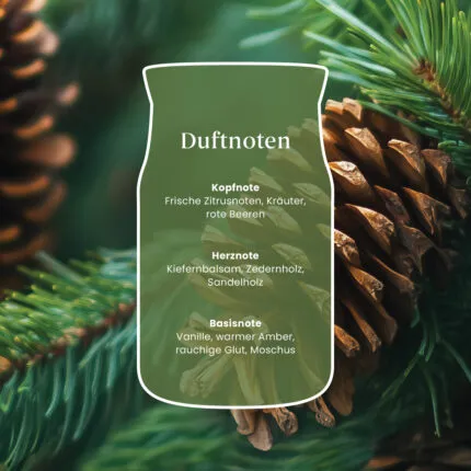 Grafik mit Duftnoten: Zitrus, Kräuter, Beeren, Kiefernbalsam, Zedernholz und Vanille