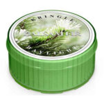 Balsam Fir Daylight 42g – Hauptansicht