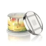 Banana Daiquiri 510g (4-Docht) – Produktansicht