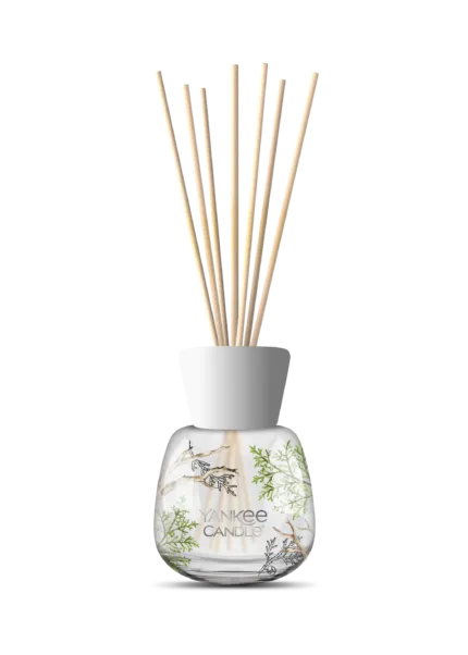 Bayside Cedar Reed Diffuser 100ml – Hauptansicht