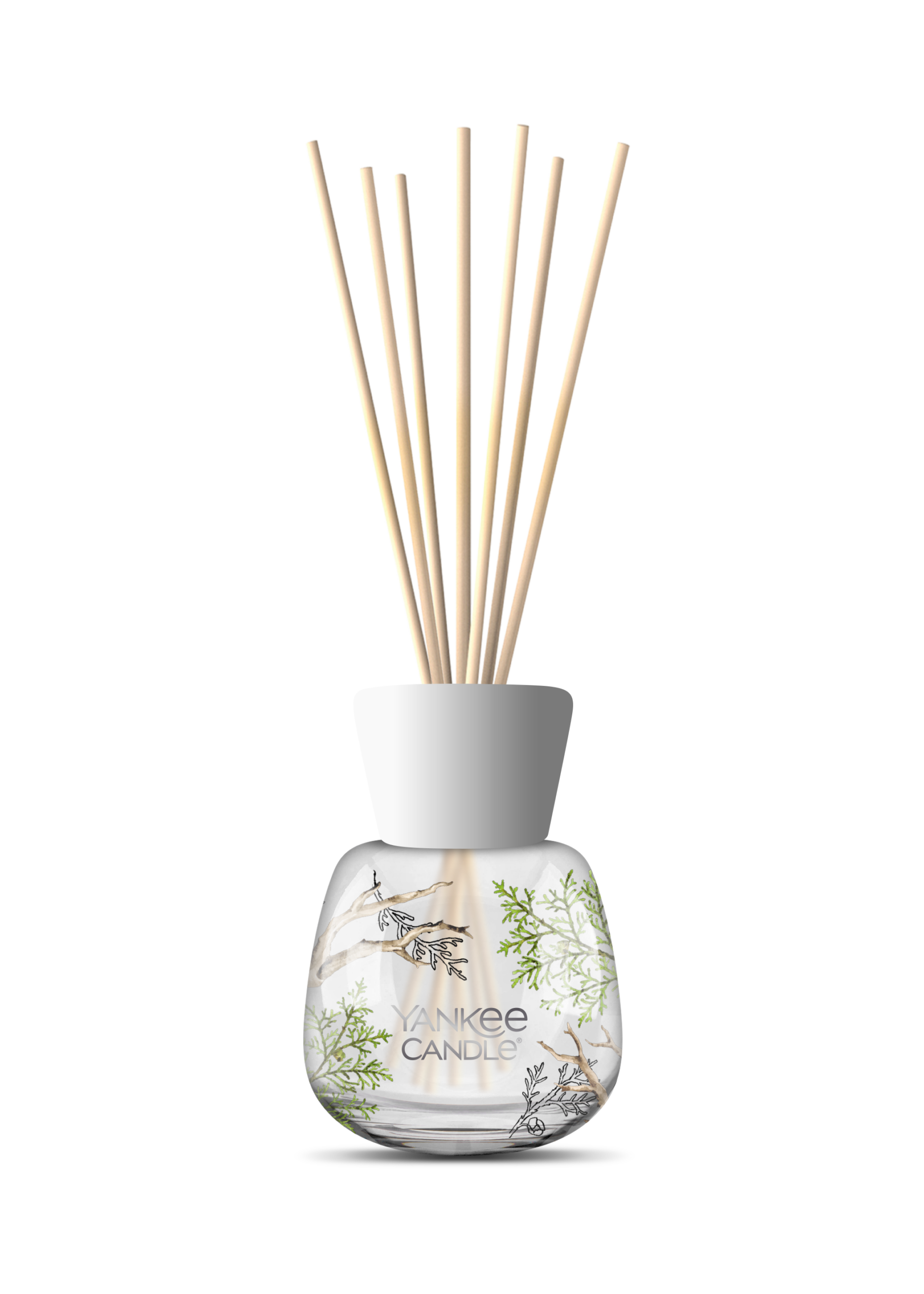 Produktbild Bayside Cedar Reed Diffuser 100ml – Hauptansicht