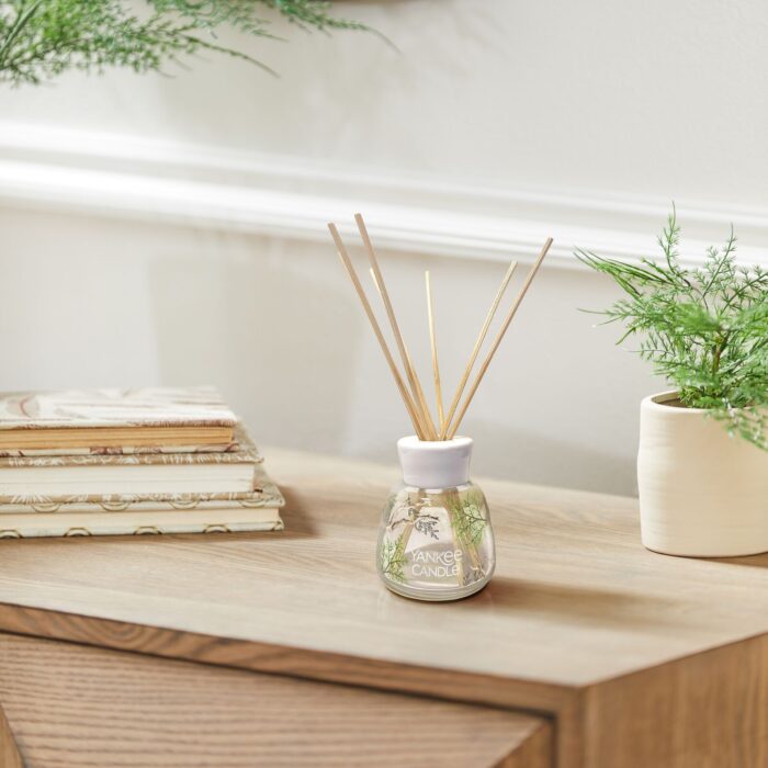 Bayside Cedar Reed Diffuser 100ml – Produktansicht