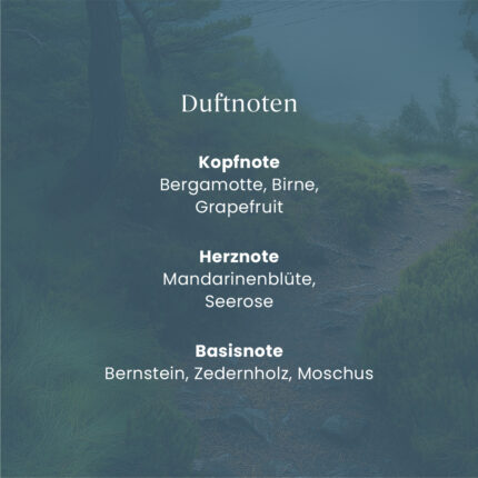 Duftnoten von Bayside Cedar mit Bergamotte, Birne und Zedernholz
