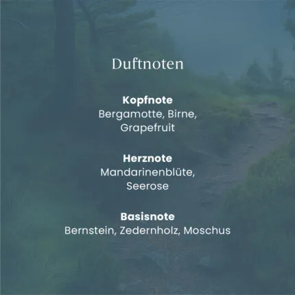 Duftnoten von Bayside Cedar mit Bergamotte, Birne und Zedernholz